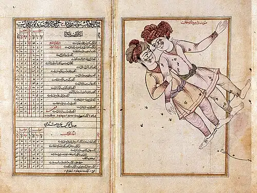 پیکرهٔ آسمانیِ دوپیکر