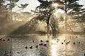 ابرافشان‌ها در دریاچه استو.