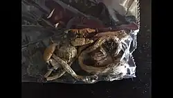 یک کیسه ۱٫۵ گرم قارچ psilocybe cubensis خشک.