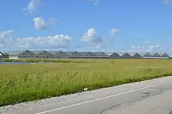 Greenhouses on U.S. Route 40، west of St. Elmo