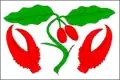 پرچم درینوف (ناحیه کرومیریژ)