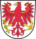 نشان بلیتز