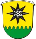 نشان ویلینگن