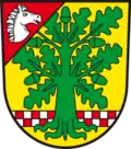 نشان ایفناک