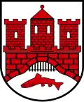 نشان ورنیگه‌روده