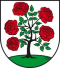 نشان آنابورگ