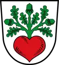 نشان اگلسباخ