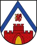 نشان اگزین