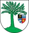 نشان الرن