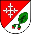 نشان هیزل