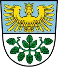 نشان لاینبورگ