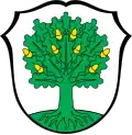 نشان Altenstadt