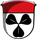 نشان رابناو (هسن)