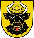 نشان رنا