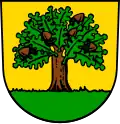 نشان شوناایش