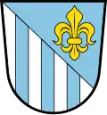 نشان تایزینگ