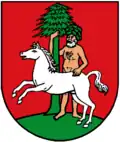 نشان ویلدمن
