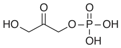 Dihydroxyacetone phosphate