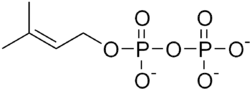 Skeletal formula
