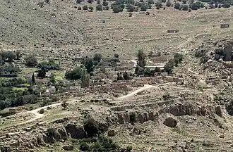 Dana village