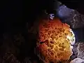 نمایی از غار درونه