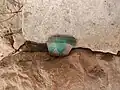 نمایی از غار درونه