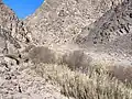 نمایی از دهانه آب درونه
