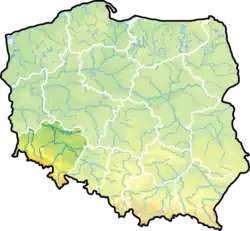 موقعیت در لهستان