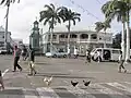مرکز شهر باستر
