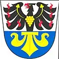 نشان درتوویتسه