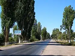 خیابان اصلی تامچی