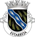 نشان Estarreja