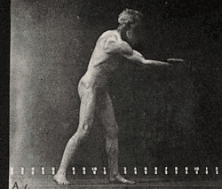 هماهنگی حرکتی نشان داده شده در این توالی متحرک توسط Eadweard Muybridge از پرتاب یک دیسک توسط خودش