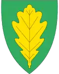 نشان ایگشن
