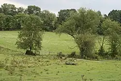 Countryside in the community