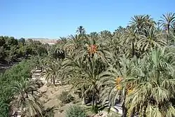 الچه