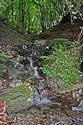 The foot of Elfin Glen at Ramsey Hairpin