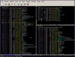 چندین بافر Dired در Emacs، دایرکتوری‌ها بصورت رنگی نمایش داده می‌شوند