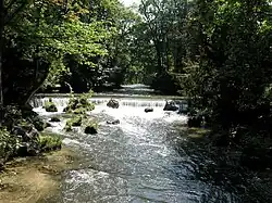 باغ انگلیسی آلمان