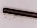 نوک مداد اتد زیر میکروسکوپ