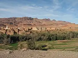 نمایی از ارفود