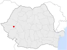 Location of Făget