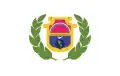 پرچم شهرستان آلتا براپاس