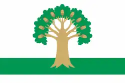 پرچم Arkhangelsky District