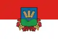 پرچم باگ (مجارستان)