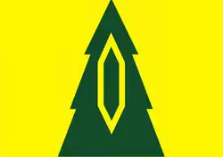 پرچم Baryshsky District
