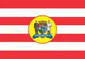 پرچم Blumenau