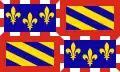 پرچم بورگونیBurgundy