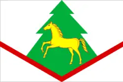 پرچم Brasovsky District