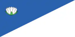 پرچم بروکنی